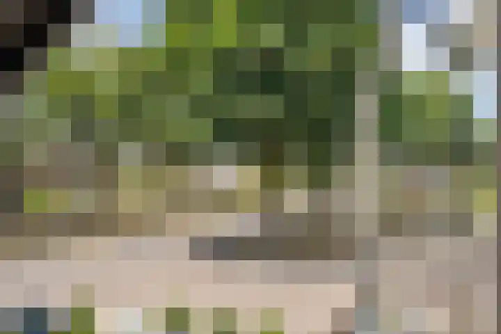 Gastelepad 1 Someren thumbnail 57