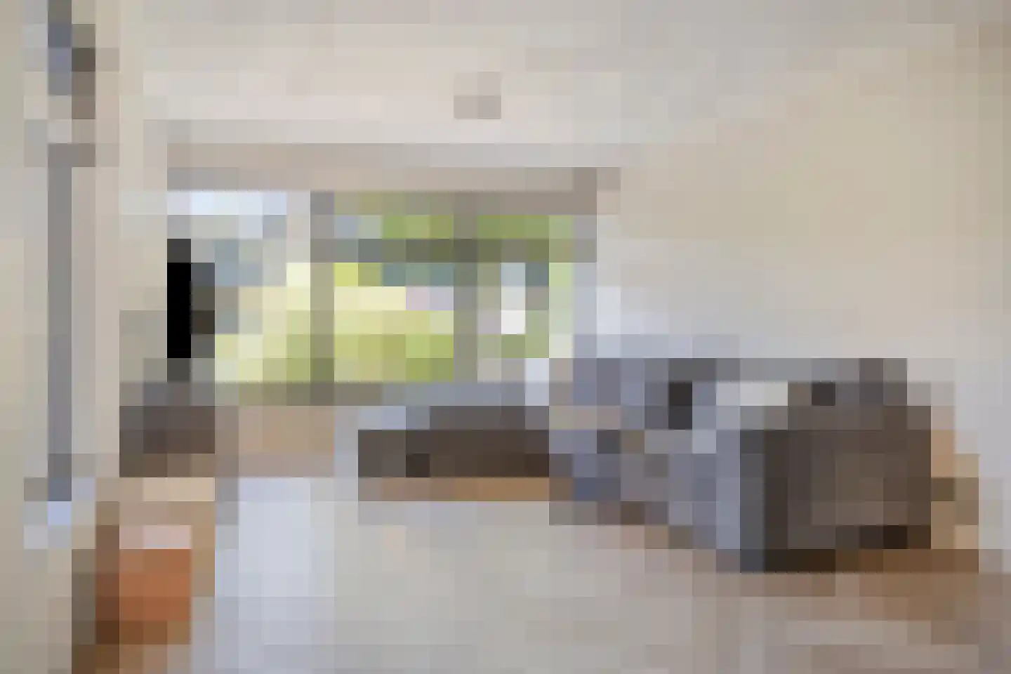 Gastelepad 11 Someren thumbnail 11