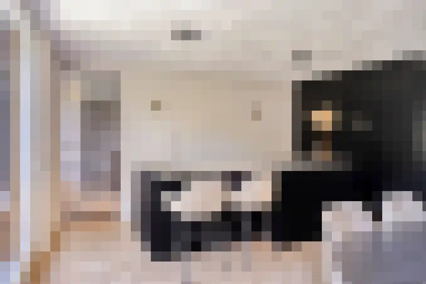 Gastelepad 11 Someren thumbnail 20