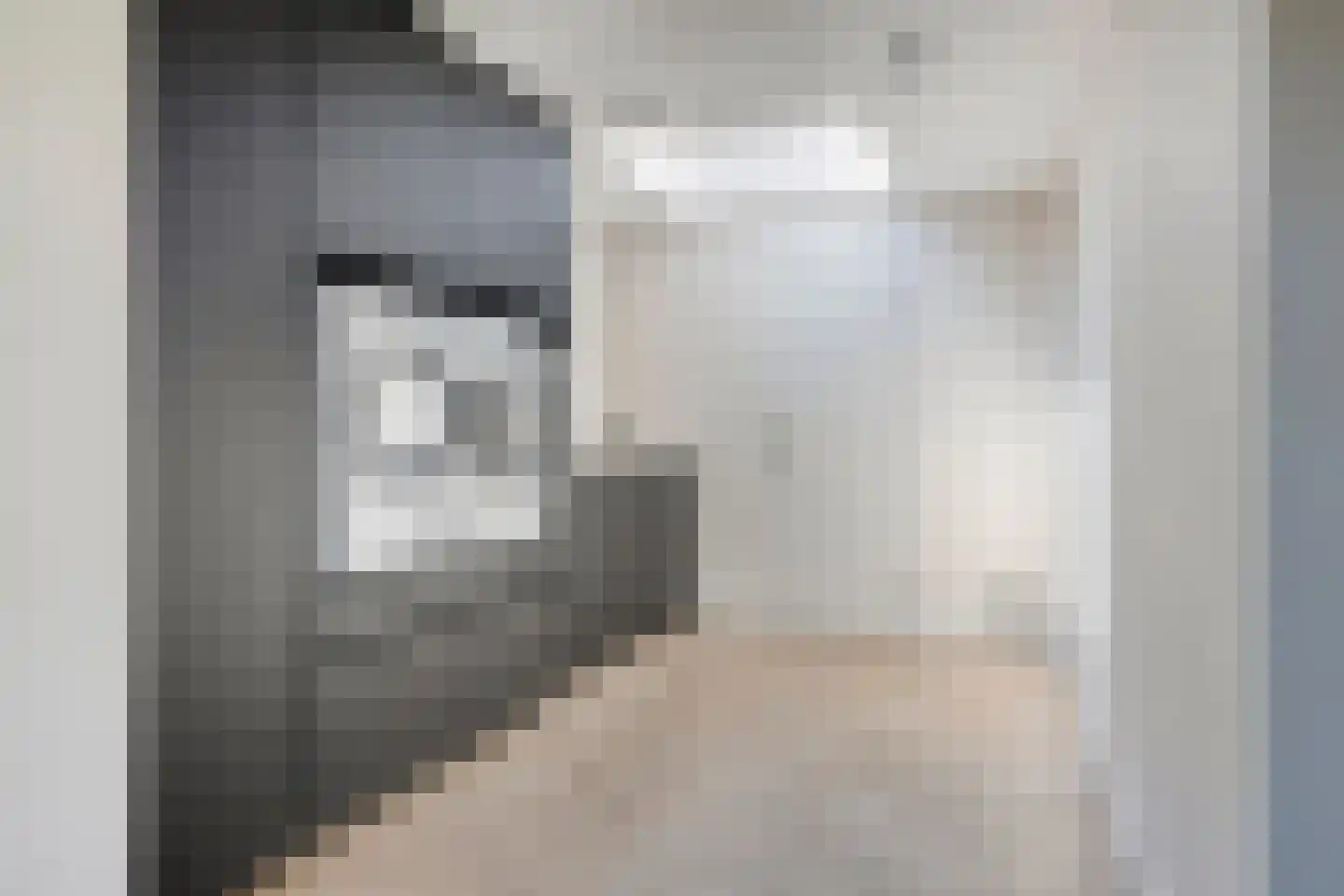 Gastelepad 11 Someren thumbnail 24