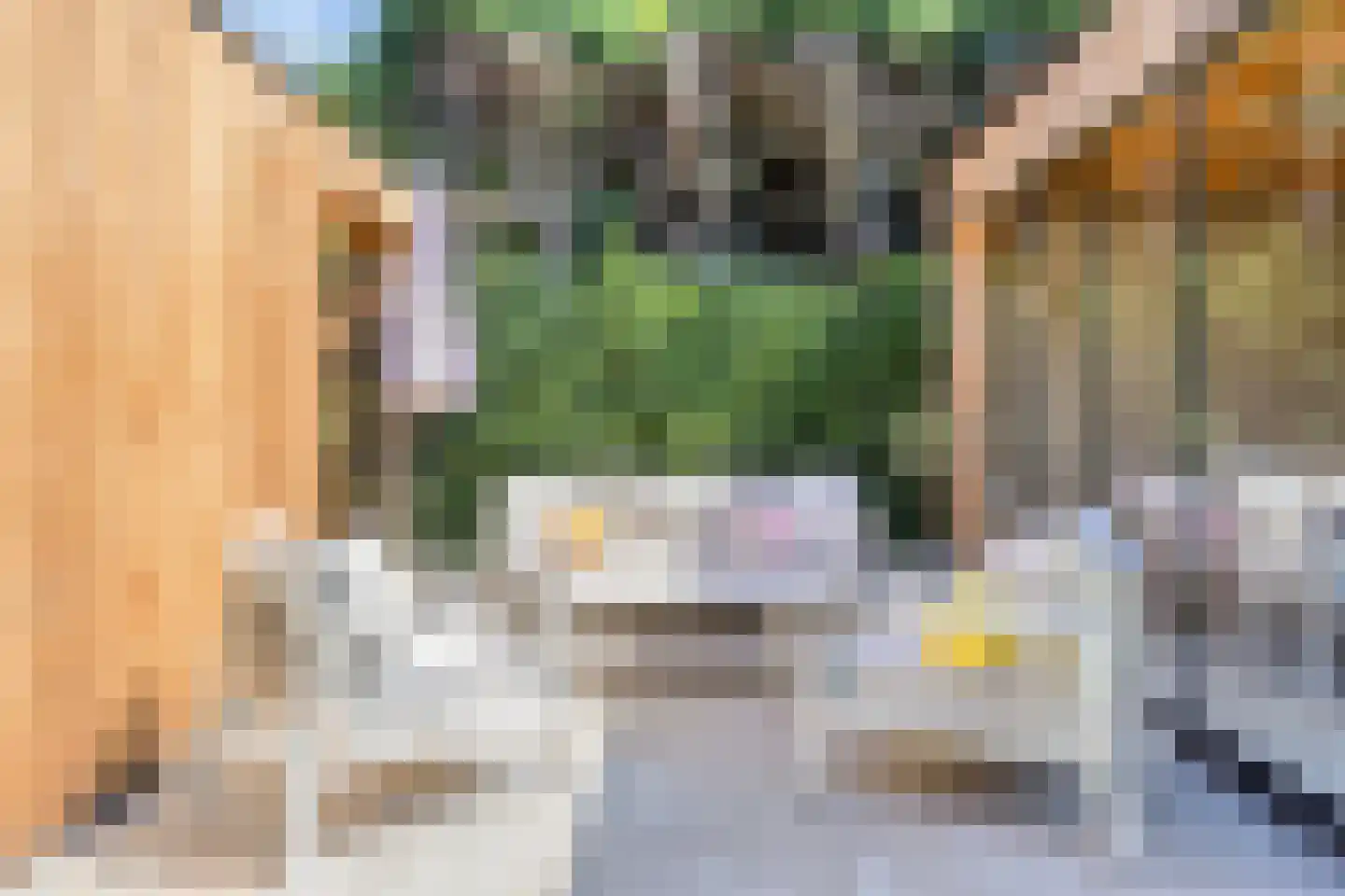 Gastelepad 11 Someren thumbnail 39