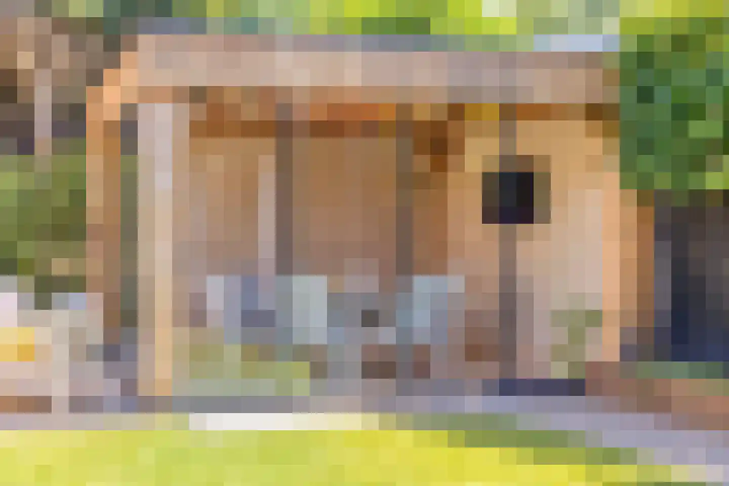 Gastelepad 11 Someren thumbnail 40