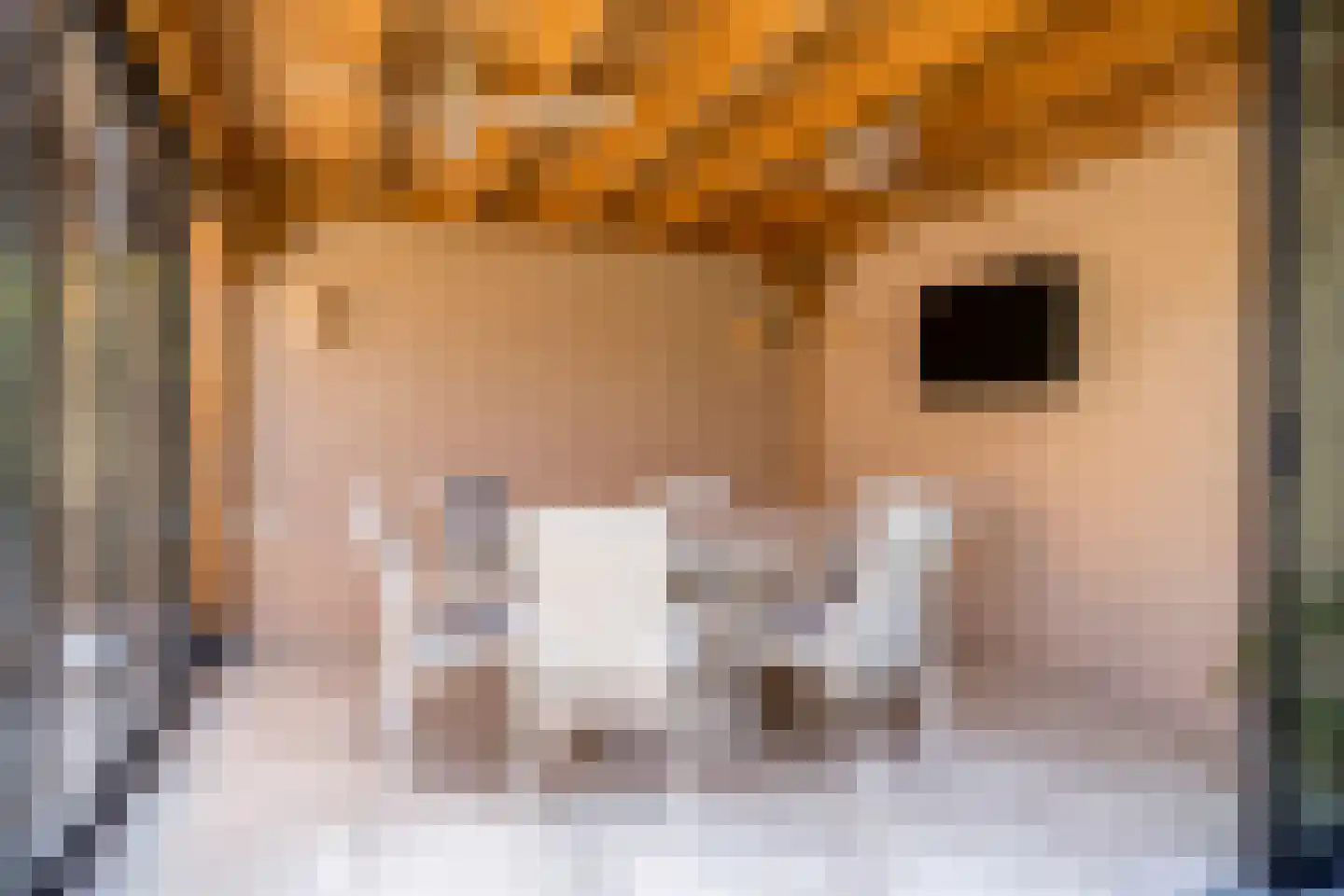 Gastelepad 11 Someren thumbnail 41