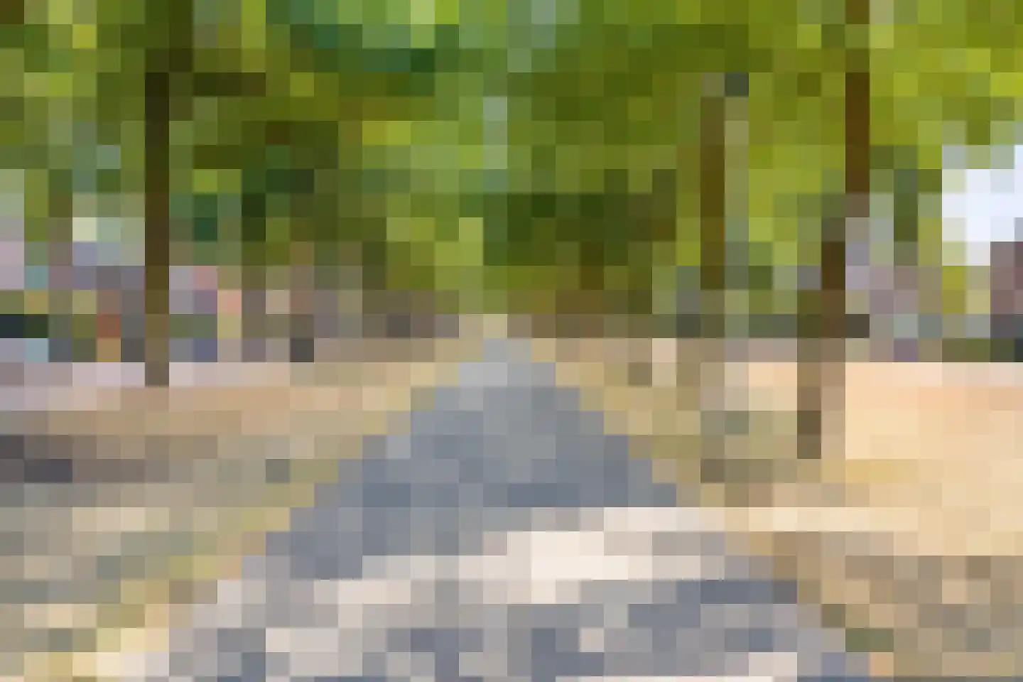 Gastelepad 11 Someren thumbnail 47