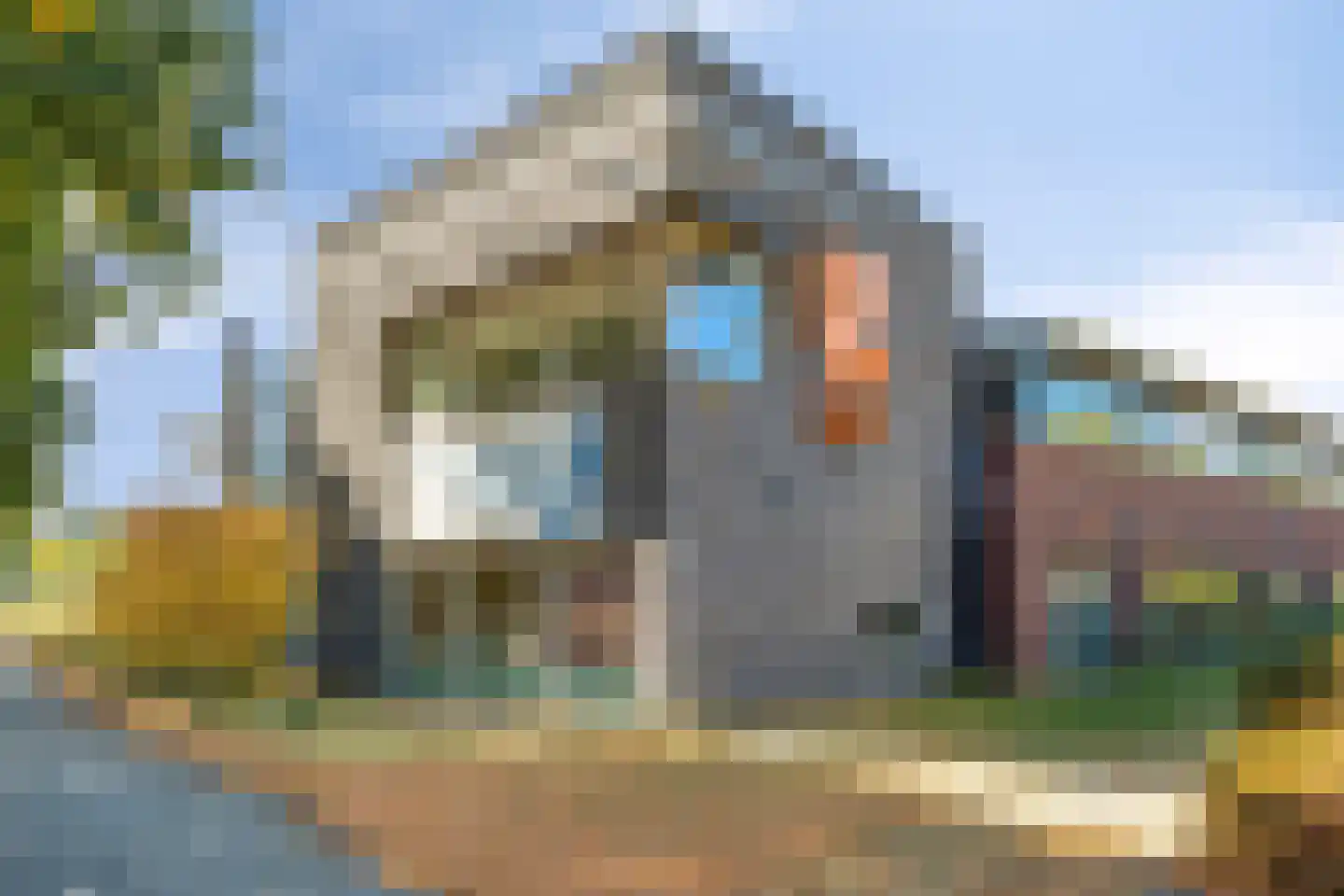 Gastelepad 11 Someren thumbnail 50