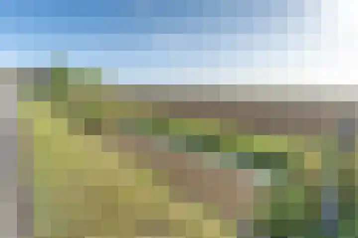 Gastelsedijk West 106 Stampersgat thumbnail 52