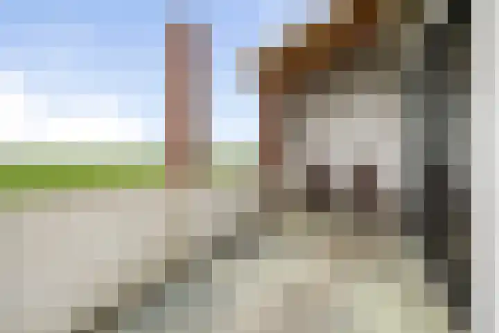Gastelsedijk West 21 Stampersgat thumbnail 27