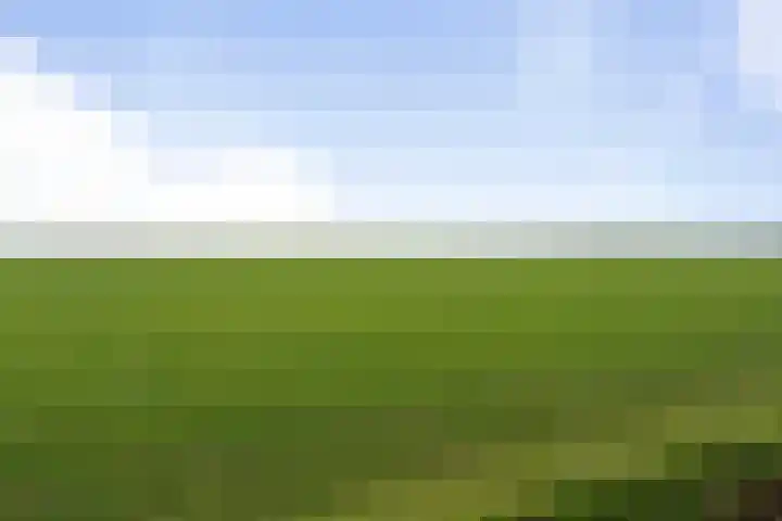 Gastelsedijk West 21 Stampersgat thumbnail 28