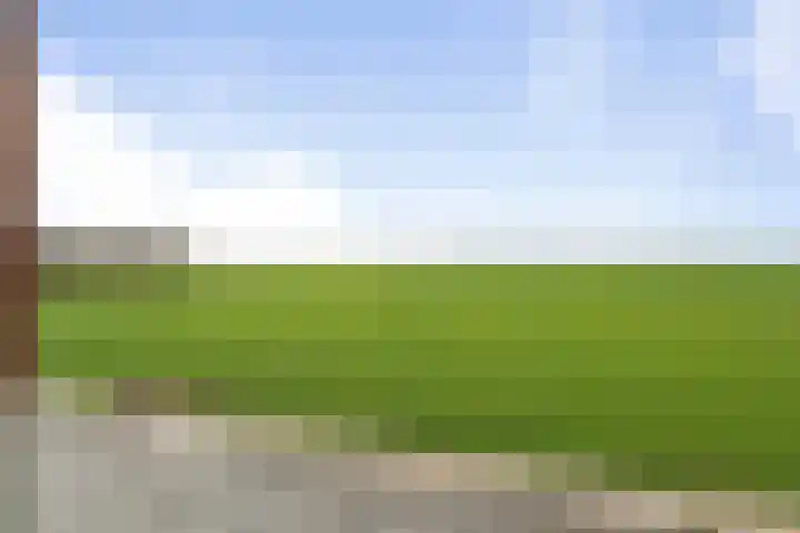 Gastelsedijk West 21 Stampersgat thumbnail 29