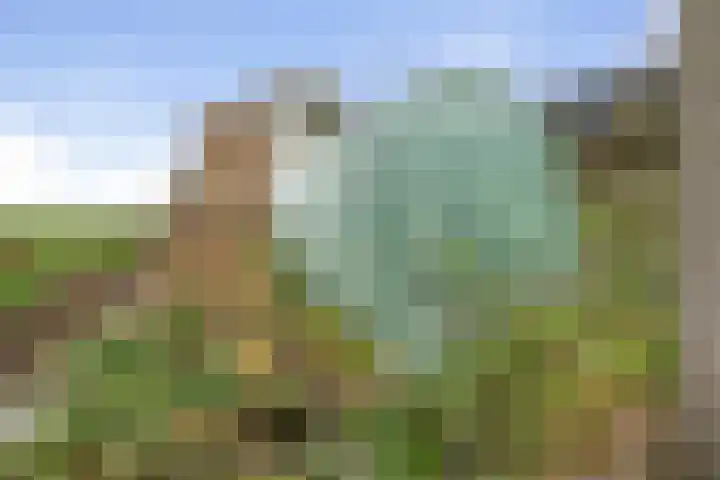 Gastelsedijk West 21 Stampersgat thumbnail 37
