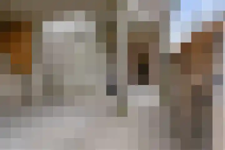 Gastelsedijk West 21 Stampersgat thumbnail 38
