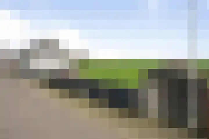 Gastelsedijk West 21 Stampersgat thumbnail 40