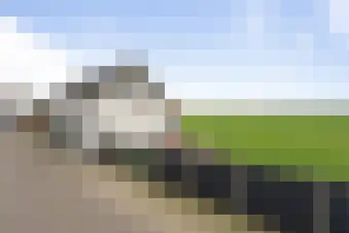 Gastelsedijk West 21 Stampersgat thumbnail 41
