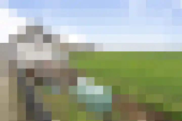 Gastelsedijk West 21 Stampersgat thumbnail 42