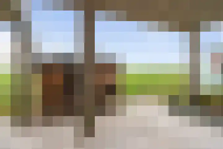 Gastelsedijk West 21 Stampersgat thumbnail 7