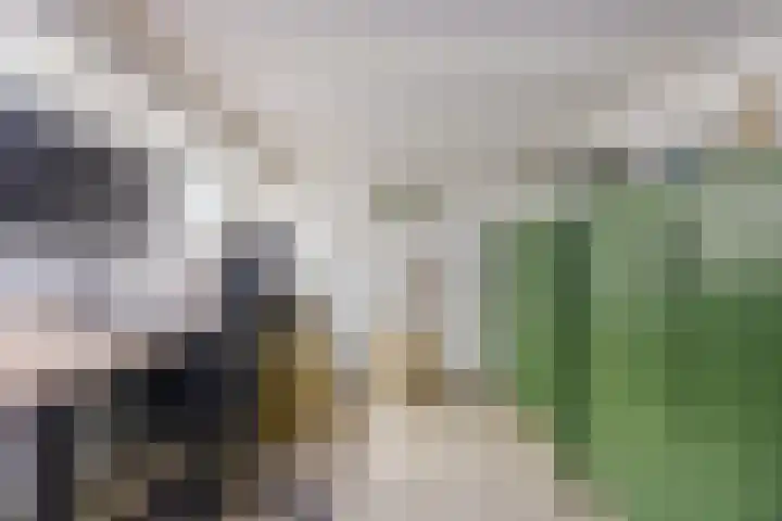 Gastelsedijk West 52 Stampersgat thumbnail 34