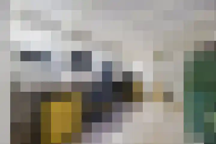 Gastelsedijk West 52 Stampersgat thumbnail 35