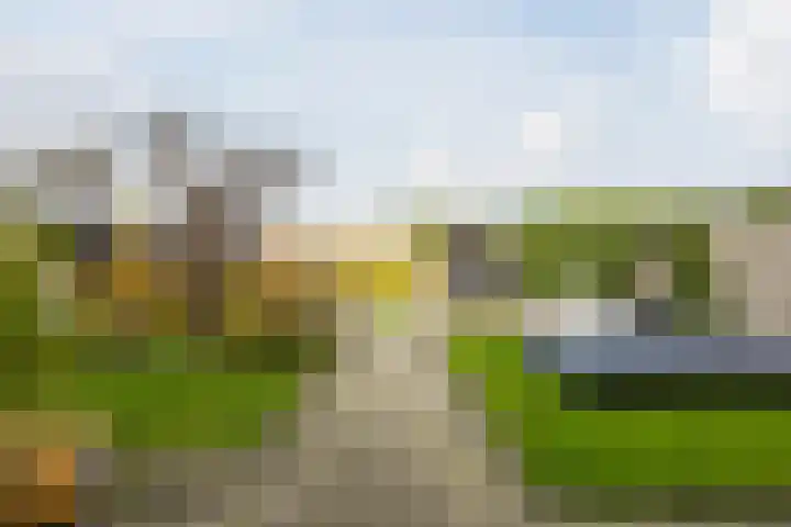 Gastelsedijk West 52 Stampersgat thumbnail 65