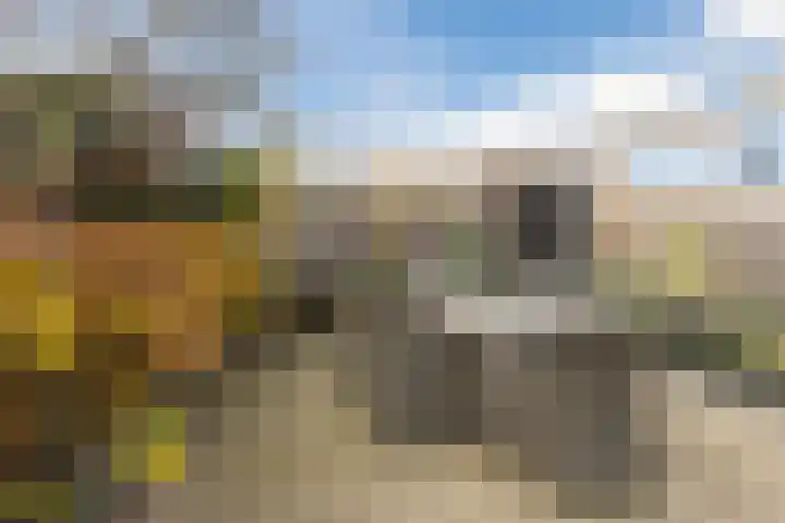Gastelsedijk West 52 Stampersgat thumbnail 69