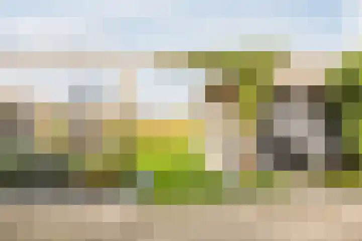 Gastelsedijk West 52 Stampersgat thumbnail 70