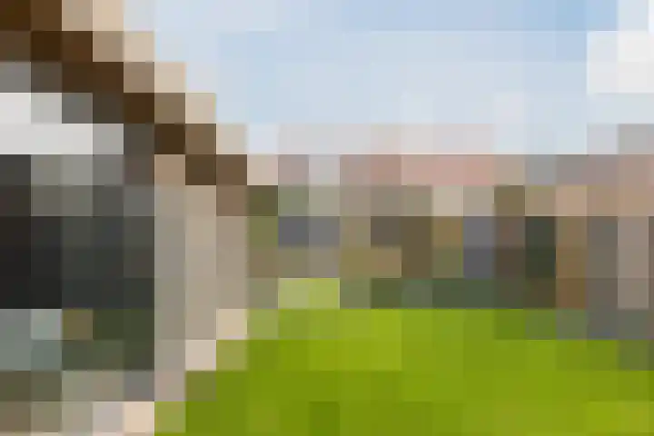 Gastelsedijk West 52 Stampersgat thumbnail 76