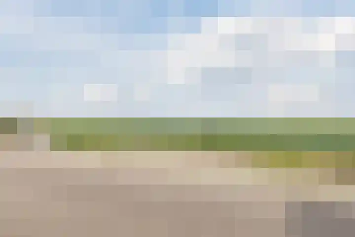 Gastelsedijk West 52 Stampersgat thumbnail 82