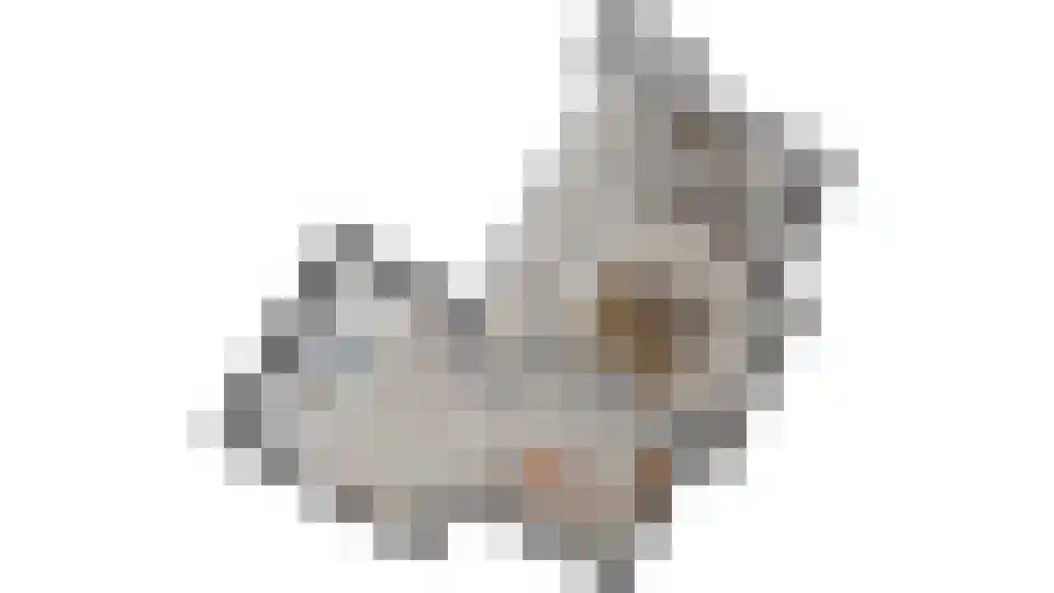 Gastelseweg 52 Budel thumbnail 103
