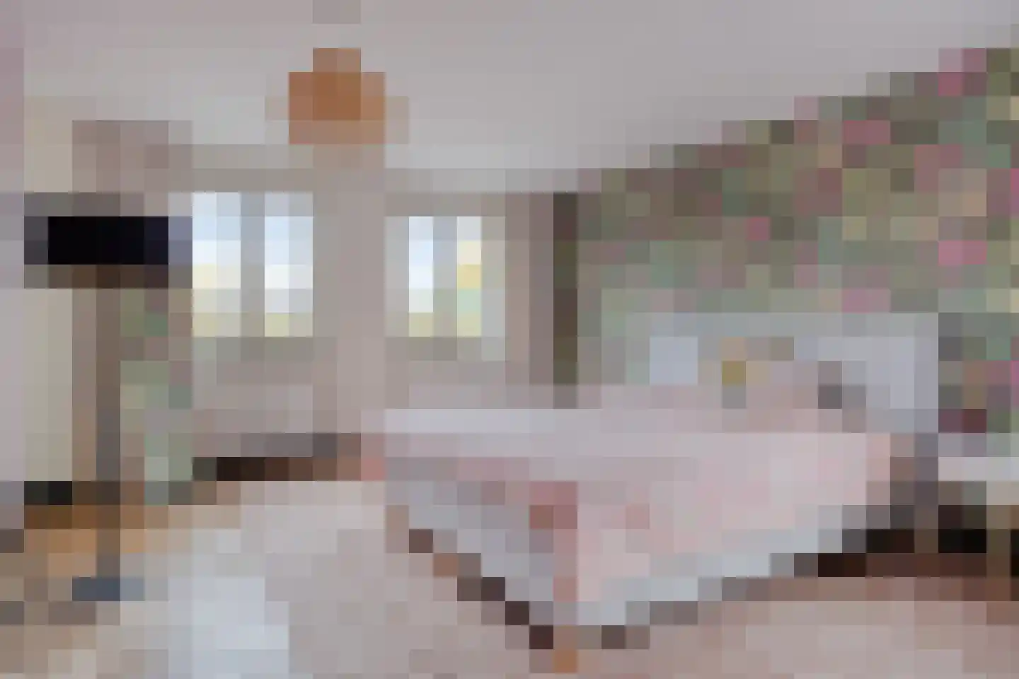 Gastelseweg 52 Budel thumbnail 56