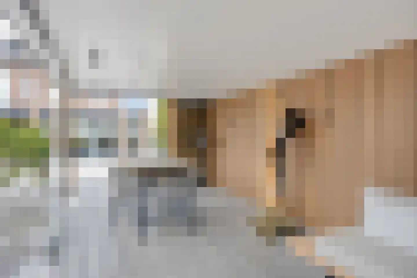 Gastelseweg 52 Budel thumbnail 86