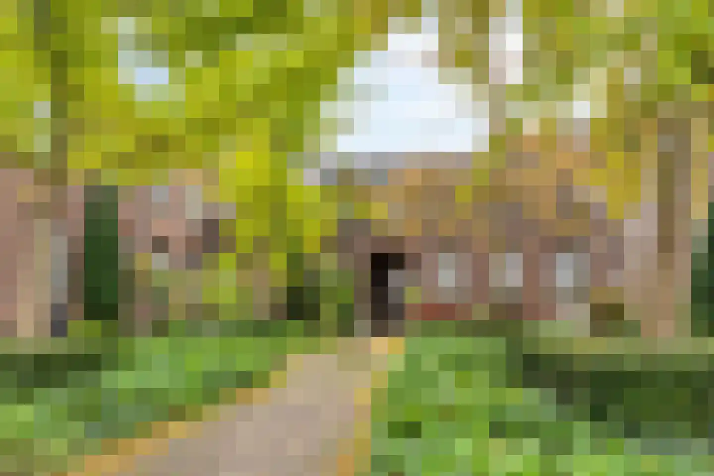 Gastelseweg 52 Budel thumbnail 95