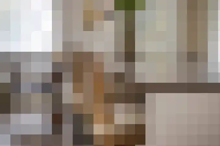 Gastenberg 55 Rosmalen thumbnail 30