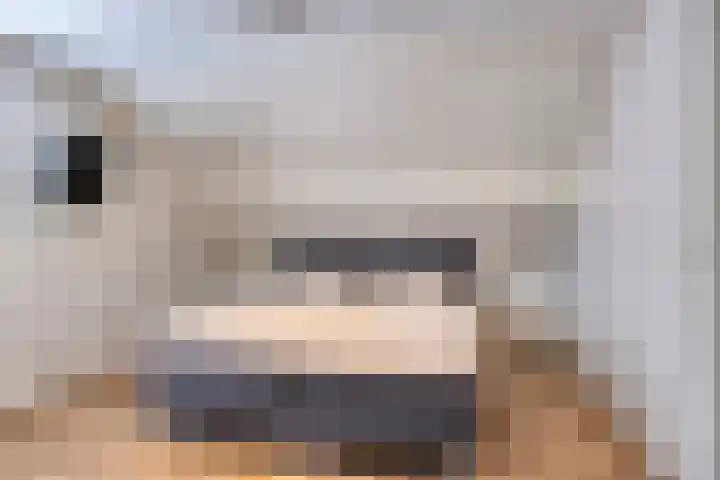 Gastenberg 55 Rosmalen thumbnail 38