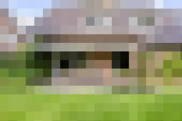 Gastenberg 55 Rosmalen thumbnail 60