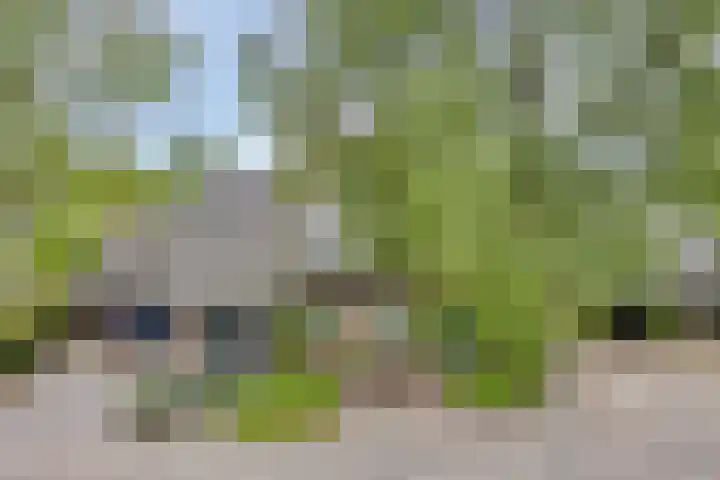 Gastenberg 55 Rosmalen thumbnail 67
