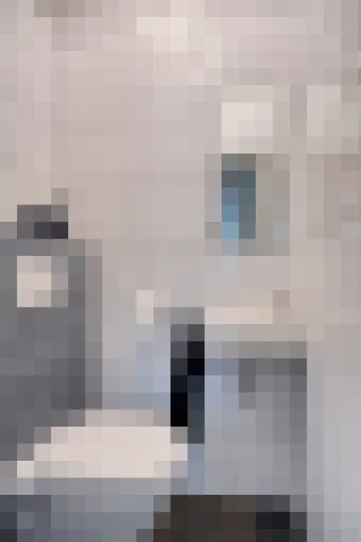 Gastenberg 55 Rosmalen thumbnail 7