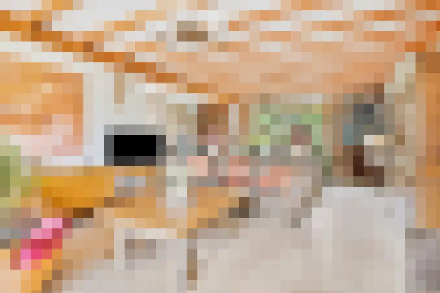 Gastenberg 58 Rosmalen thumbnail 10