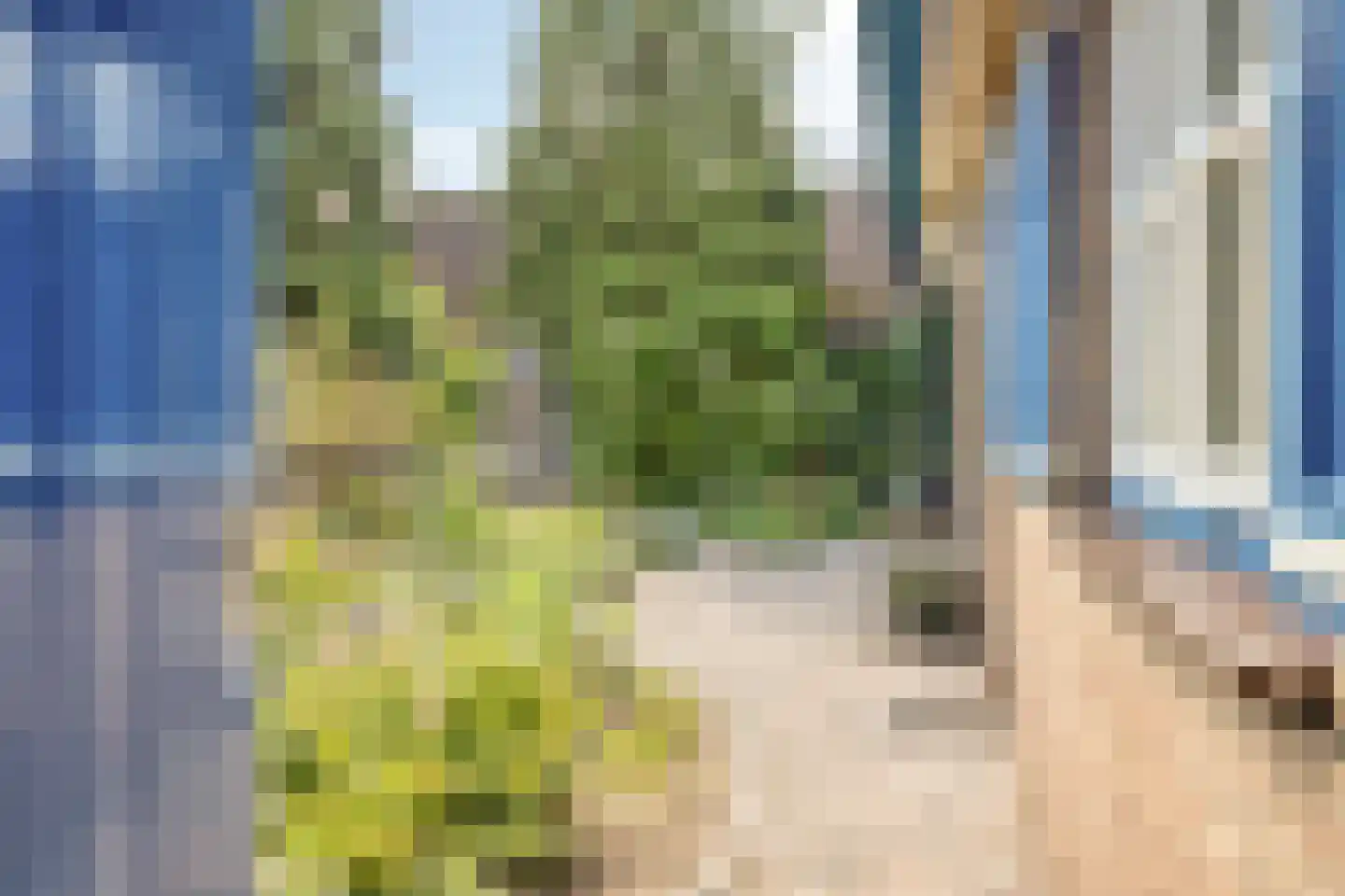 Gastenberg 58 Rosmalen thumbnail 41