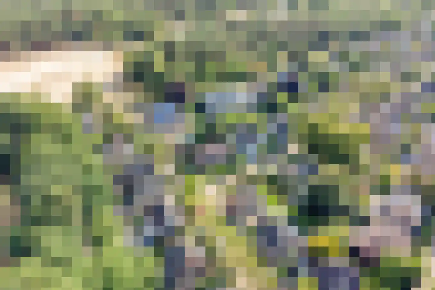 Gastenberg 58 Rosmalen thumbnail 53