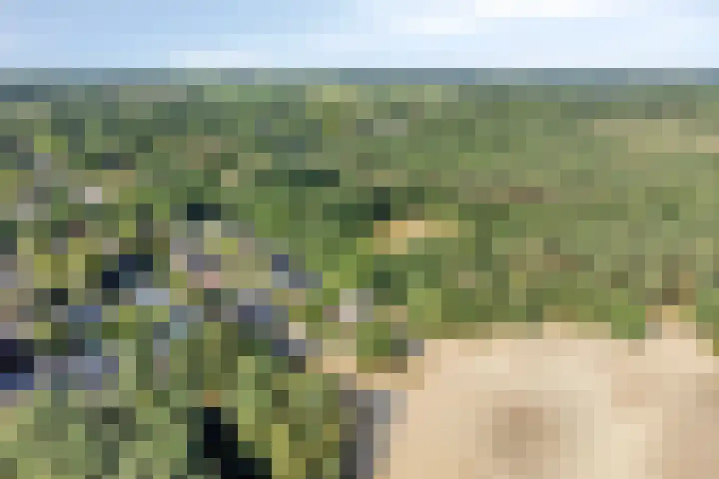 Gastenberg 58 Rosmalen thumbnail 57