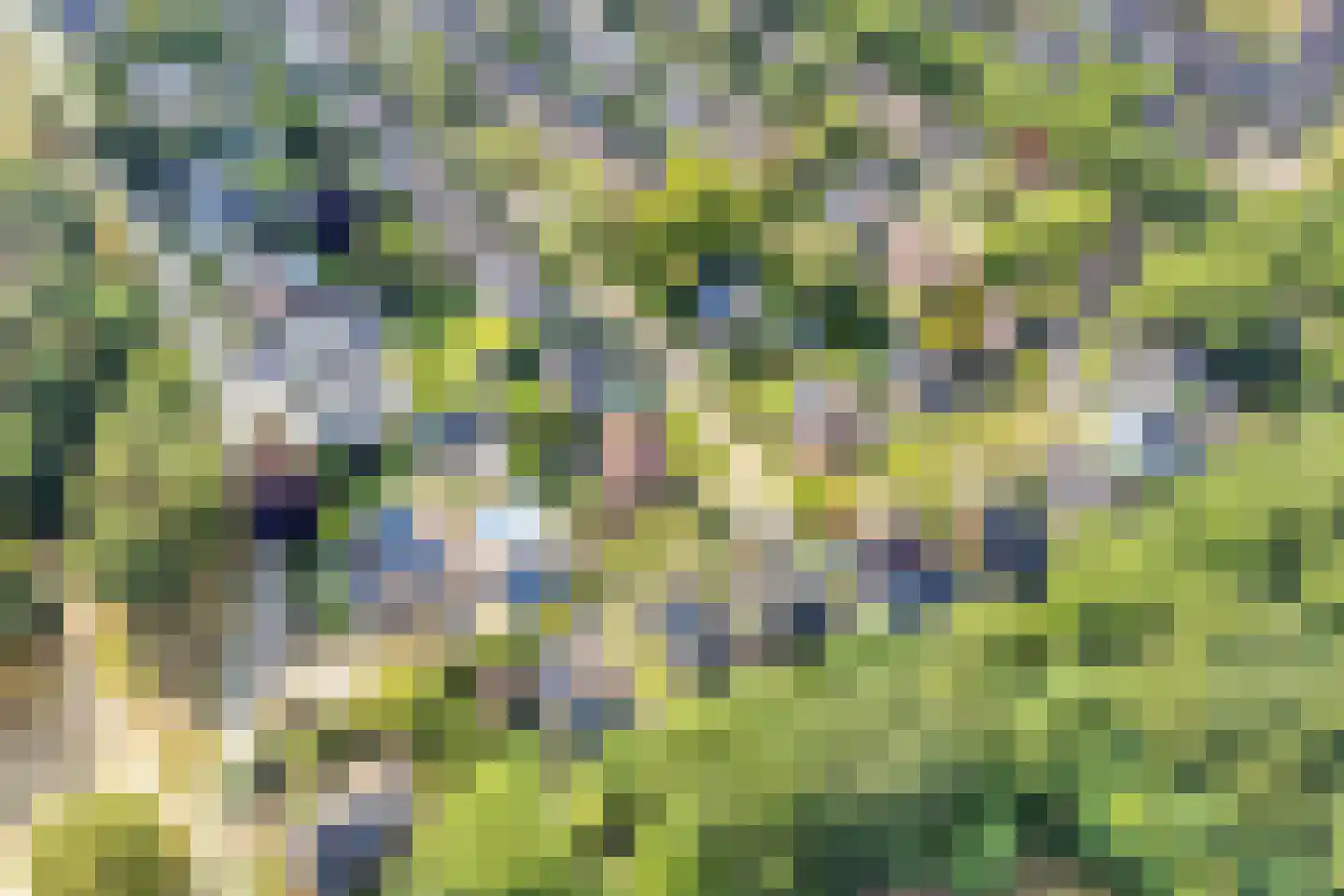 Gastenberg 58 Rosmalen thumbnail 59