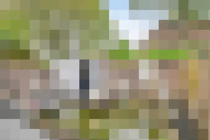 Gastenberg 81 Rosmalen thumbnail 23