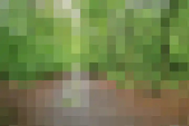 Gastenberg 81 Rosmalen thumbnail 30