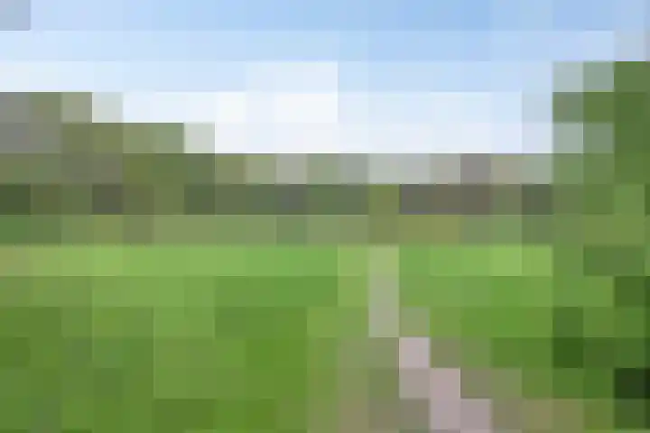 Gastenberg 81 Rosmalen thumbnail 33
