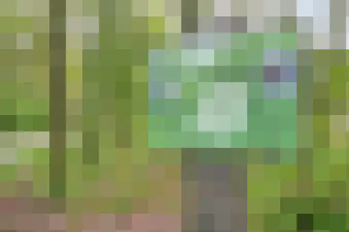 Gastenberg 81 Rosmalen thumbnail 35