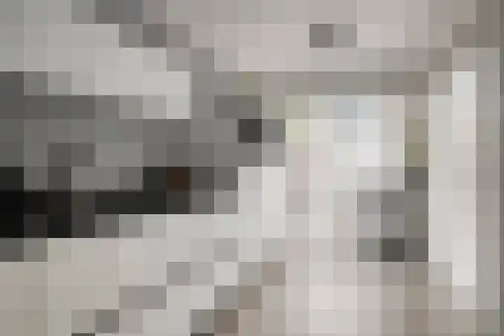 Gastenberg 81 Rosmalen thumbnail 7