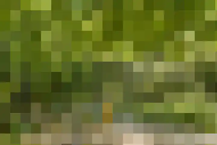 Gastenberg 81 Rosmalen thumbnail 9