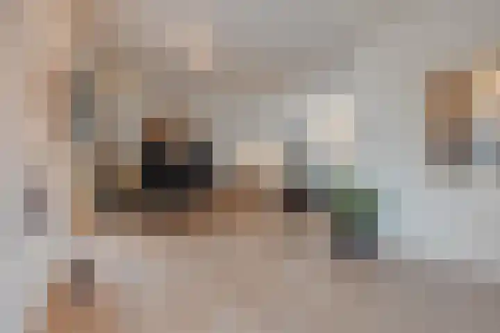 Gastendonkstraat 14 Horst thumbnail 10