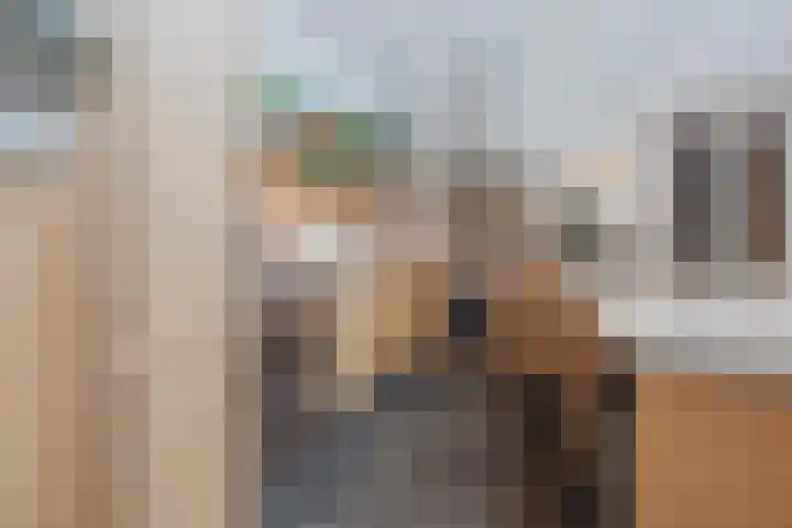 Gastendonkstraat 14 Horst thumbnail 17