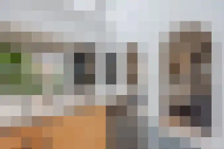 Gastendonkstraat 14 Horst thumbnail 19