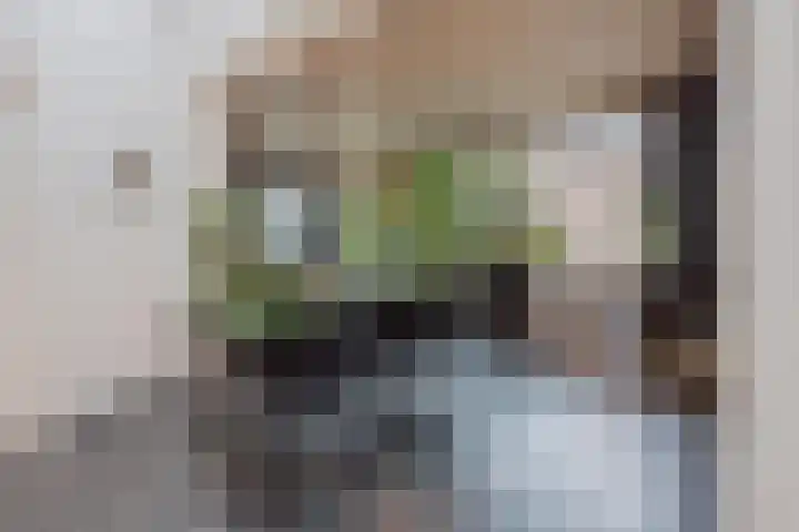 Gastendonkstraat 14 Horst thumbnail 21